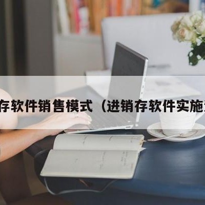 进销存软件销售模式（进销存软件实施流程）