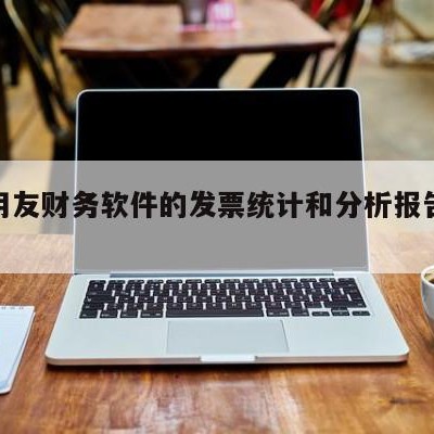 包含用友财务软件的发票统计和分析报告的词条