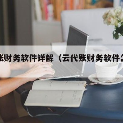 云代账财务软件详解（云代账财务软件怎么用）