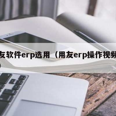 用友软件erp选用（用友erp操作视频教程）