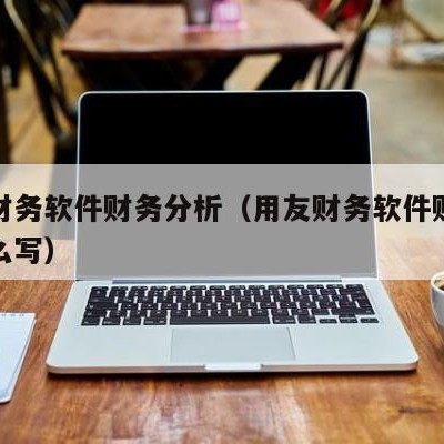 用友财务软件财务分析（用友财务软件财务分析怎么写）