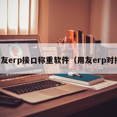 用友erp接口称重软件（用友erp对接）