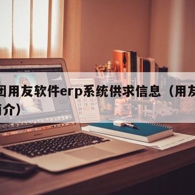 集团用友软件erp系统供求信息（用友erp简介）