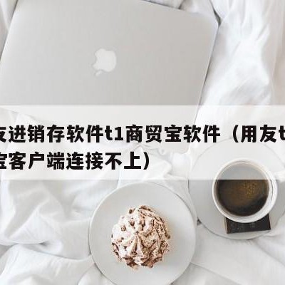 用友进销存软件t1商贸宝软件（用友t1商贸宝客户端连接不上）