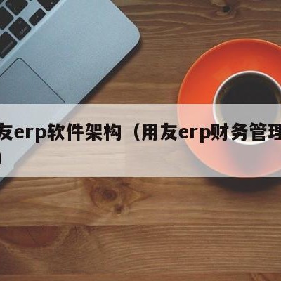 用友erp软件架构（用友erp财务管理系统）