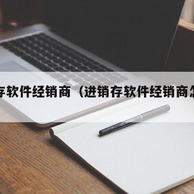 进销存软件经销商（进销存软件经销商怎么做）