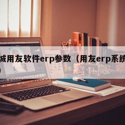 聊城用友软件erp参数（用友erp系统软件）