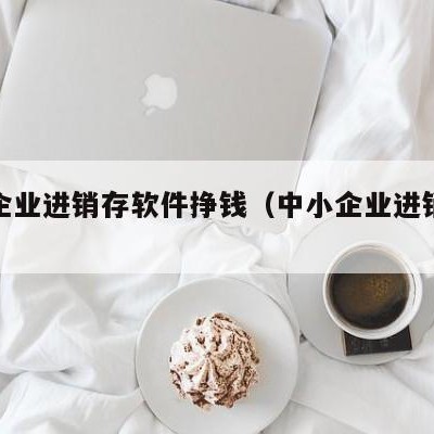 中小企业进销存软件挣钱（中小企业进销存管理）