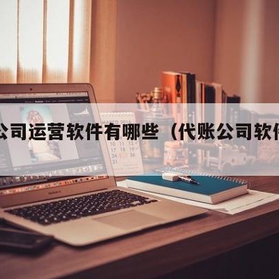 代账公司运营软件有哪些（代账公司软件排名）