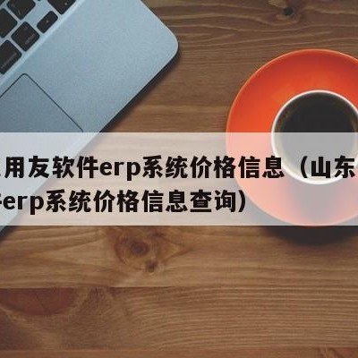 山东用友软件erp系统价格信息（山东用友软件erp系统价格信息查询）