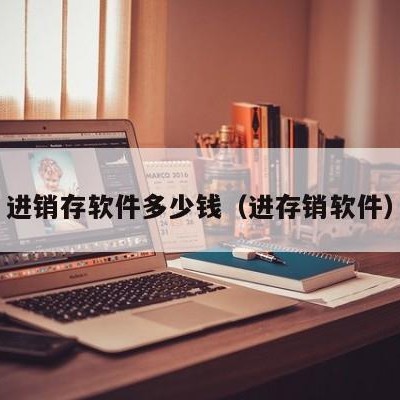 进销存软件多少钱（进存销软件）