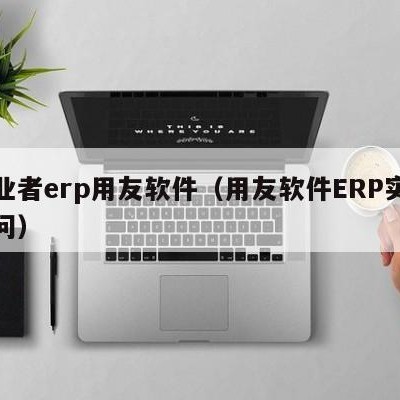 创业者erp用友软件（用友软件ERP实施顾问）