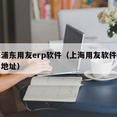 上海浦东用友erp软件（上海用友软件有限公司地址）