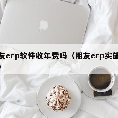 用友erp软件收年费吗（用友erp实施顾问）