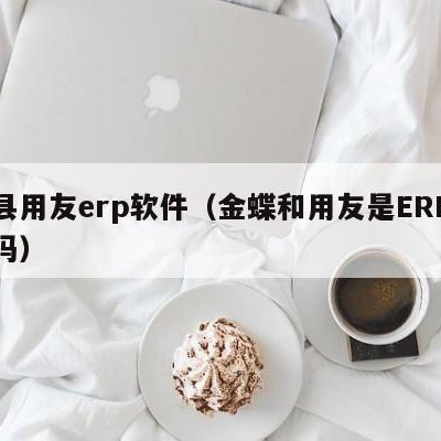 淇县用友erp软件（金蝶和用友是ERP软件吗）