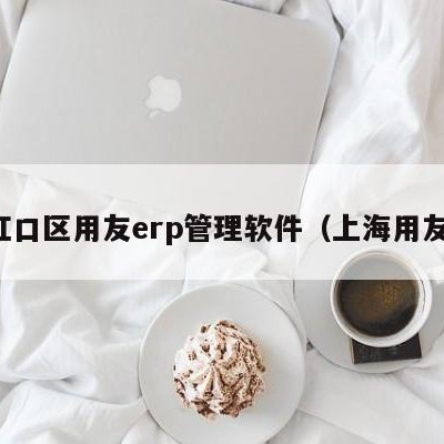 虹口区用友erp管理软件（上海用友）