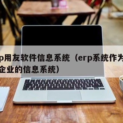 erp用友软件信息系统（erp系统作为整个企业的信息系统）