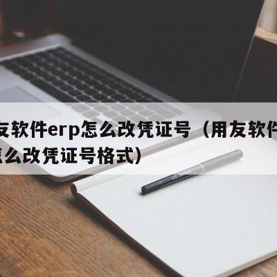 用友软件erp怎么改凭证号（用友软件erp怎么改凭证号格式）