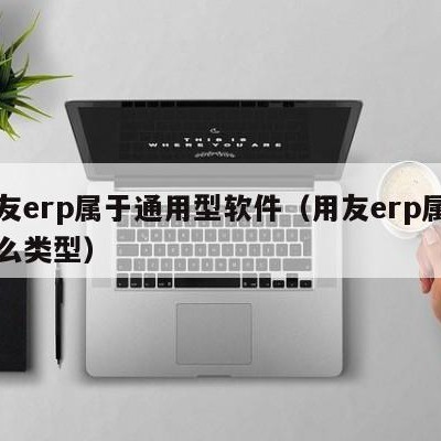 用友erp属于通用型软件（用友erp属于什么类型）