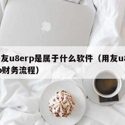 用友u8erp是属于什么软件（用友u8erp财务流程）