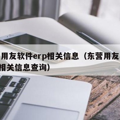 东营用友软件erp相关信息（东营用友软件erp相关信息查询）