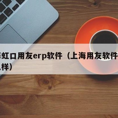 上海虹口用友erp软件（上海用友软件公司怎么样）