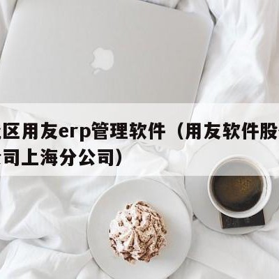 闸北区用友erp管理软件（用友软件股份有限公司上海分公司）