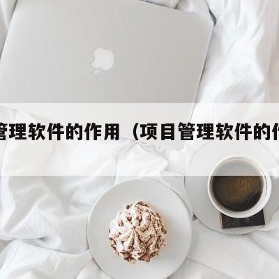 项目管理软件的作用（项目管理软件的作用是什么）