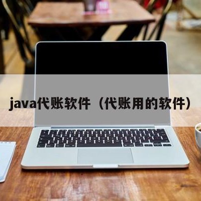 java代账软件（代账用的软件）