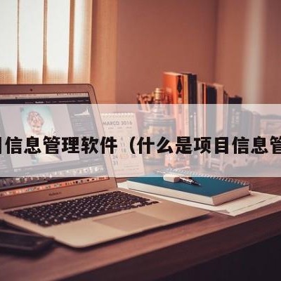 项目信息管理软件（什么是项目信息管理）