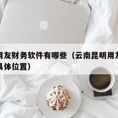 云南用友财务软件有哪些（云南昆明用友软件公司具体位置）