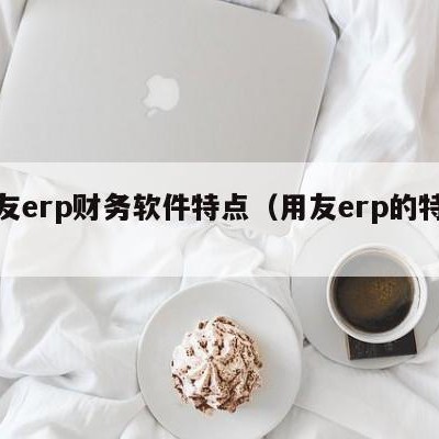 用友erp财务软件特点（用友erp的特点）