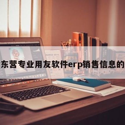 包含东营专业用友软件erp销售信息的词条