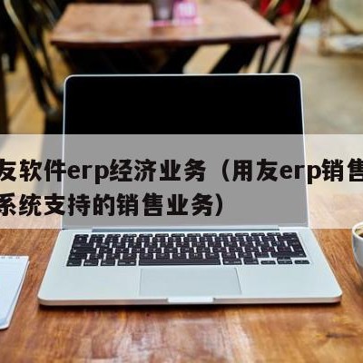 用友软件erp经济业务（用友erp销售管理系统支持的销售业务）