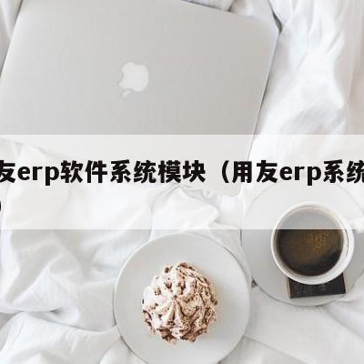 用友erp软件系统模块（用友erp系统介绍）