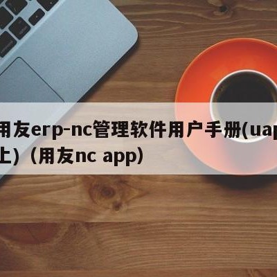 用友erp-nc管理软件用户手册(uap上)（用友nc app）