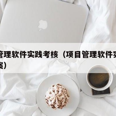 项目管理软件实践考核（项目管理软件实践考核方案）