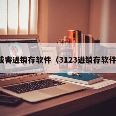 成睿进销存软件（3123进销存软件）