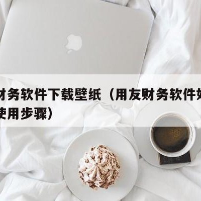 用友财务软件下载壁纸（用友财务软件如何安装及使用步骤）