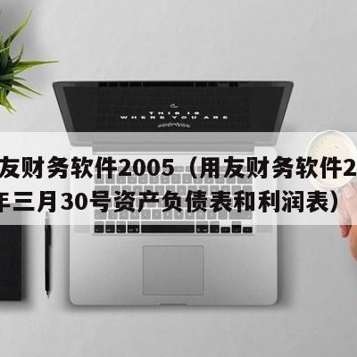 用友财务软件2005（用友财务软件2019年三月30号资产负债表和利润表）