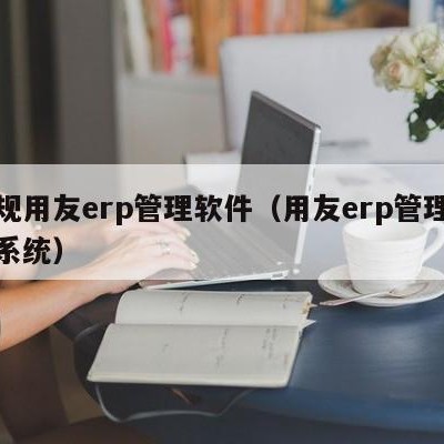 正规用友erp管理软件（用友erp管理软件系统）