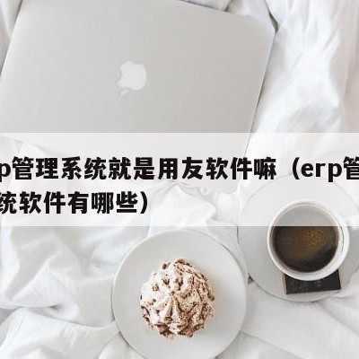 erp管理系统就是用友软件嘛（erp管理系统软件有哪些）