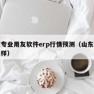 日照专业用友软件erp行情预测（山东用友怎么样）