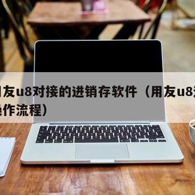 与用友u8对接的进销存软件（用友u8进销存操作流程）