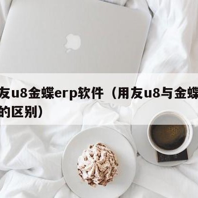 用友u8金蝶erp软件（用友u8与金蝶软件的区别）