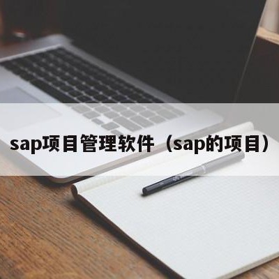 sap项目管理软件（sap的项目）