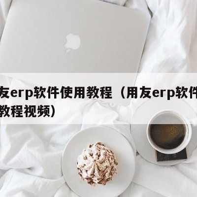 用友erp软件使用教程（用友erp软件使用教程视频）