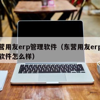 东营用友erp管理软件（东营用友erp管理软件怎么样）