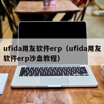 ufida用友软件erp（ufida用友软件erp沙盘教程）