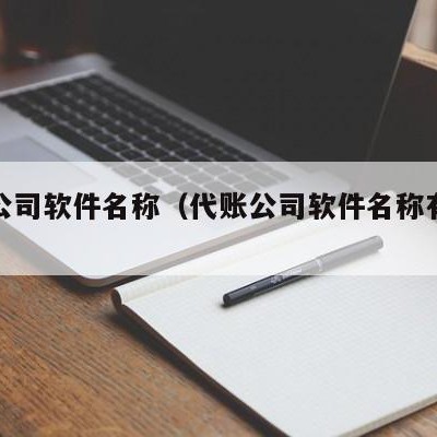 代账公司软件名称（代账公司软件名称有哪些）